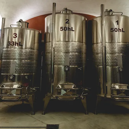 리조트 Prime Alture Wine 5*