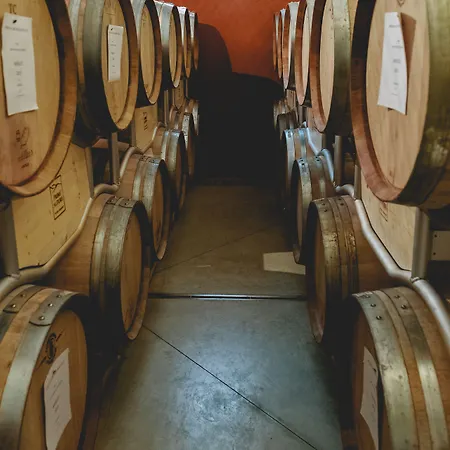 Prime Alture Wine 5*